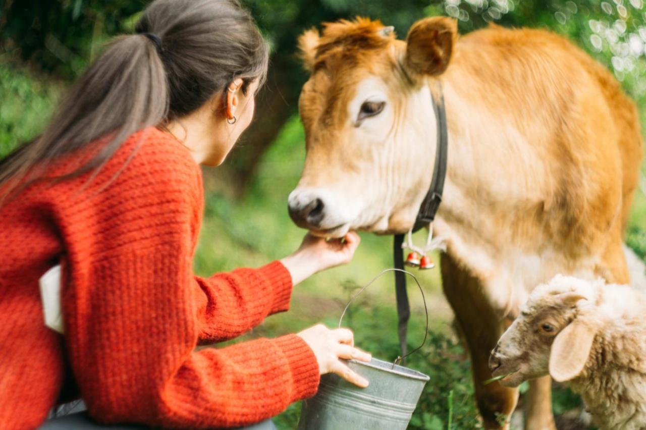 Domus Agricolae Corallina Торе дел Греко Екстериор снимка