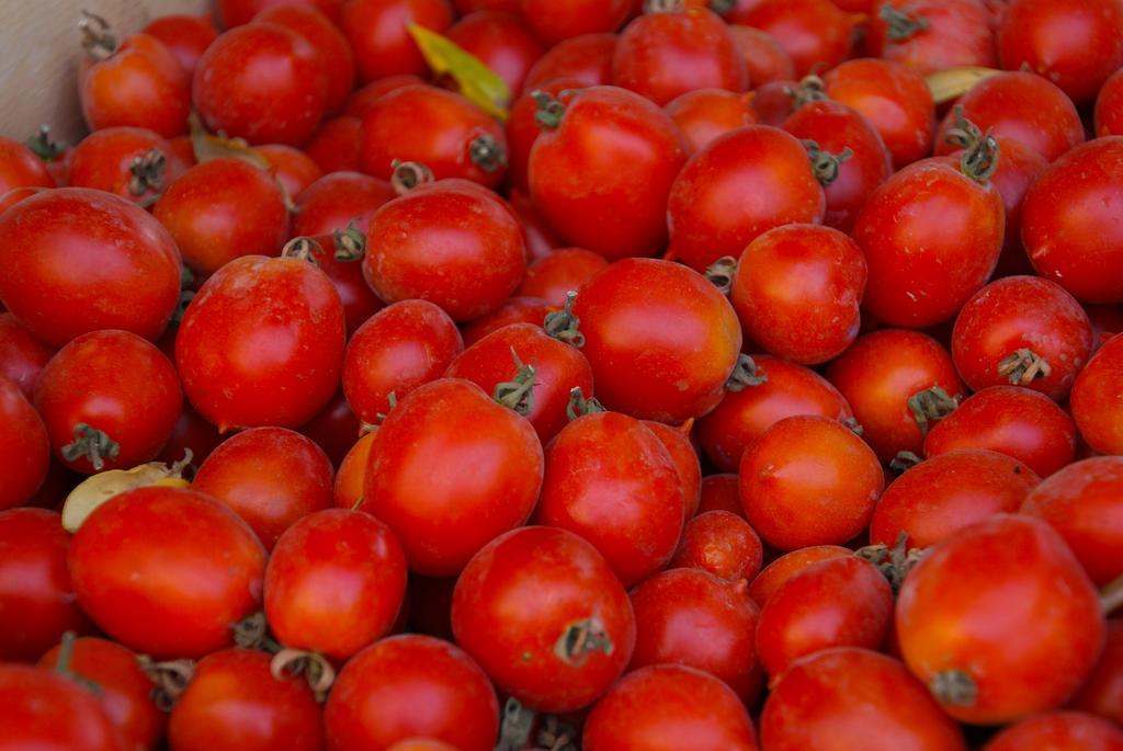 Domus Agricolae Corallina Торе дел Греко Екстериор снимка
