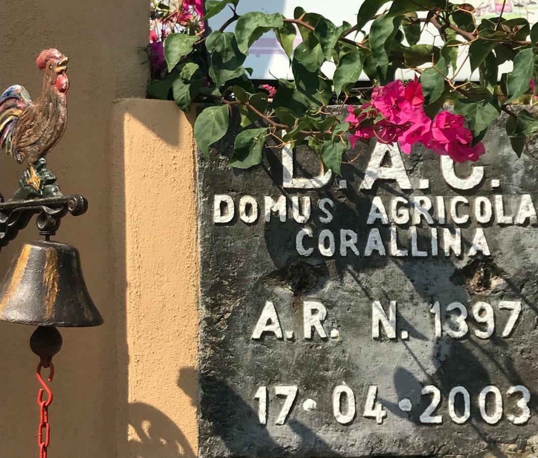 Domus Agricolae Corallina Торе дел Греко Екстериор снимка