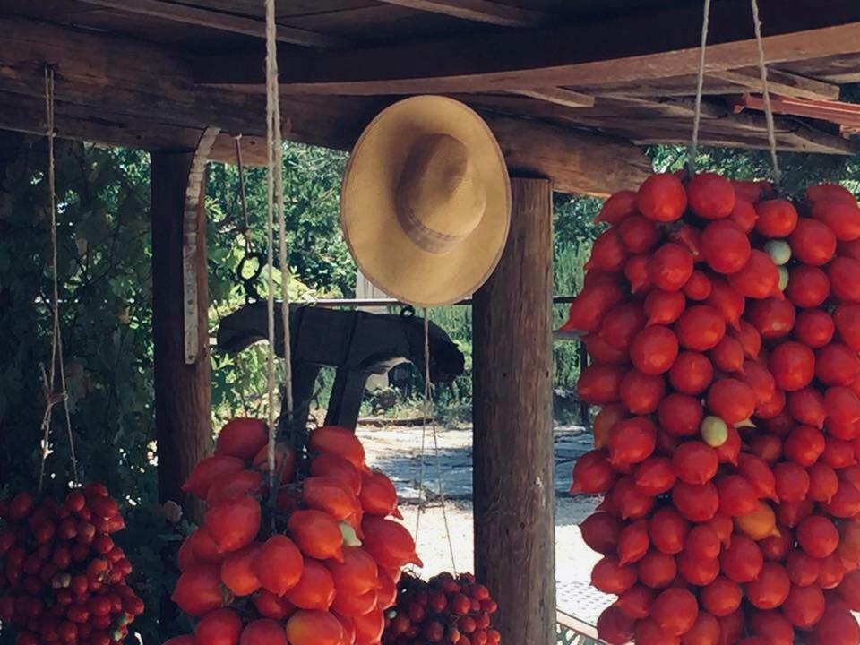 Domus Agricolae Corallina Торе дел Греко Екстериор снимка